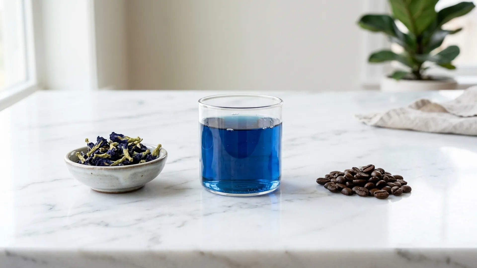Сушёные цветы butterfly pea, синий настой и кофейные зёрна